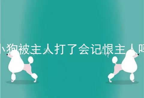 小狗被主人打了会记恨主人吗