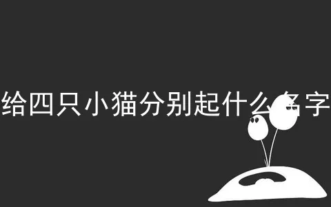 给四只小猫分别起什么名字