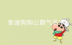 泰迪狗狗公霸气名字