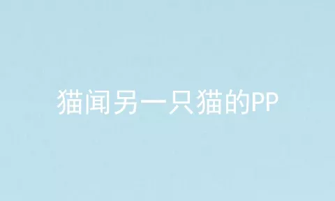 猫闻另一只猫的PP