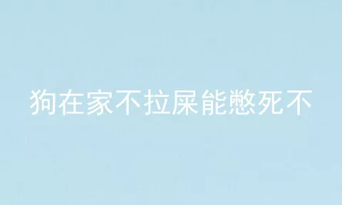 狗在家不拉屎能憋死不