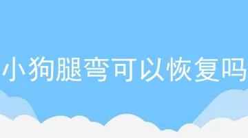 小狗腿弯可以恢复吗