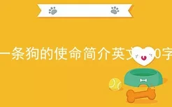 一条狗的使命简介英文100字