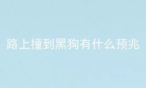 路上撞到黑狗有什么预兆