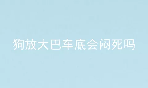 狗放大巴车底会闷死吗