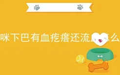 猫咪下巴有血疙瘩还流血怎么办