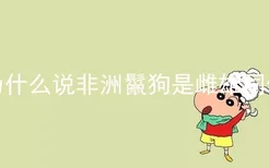 为什么说非洲鬣狗是雌雄同体