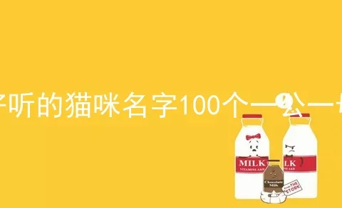 好听的猫咪名字100个一公一母