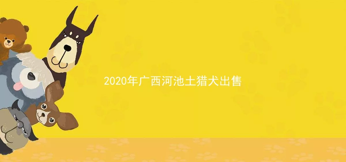 2020年广西河池土猎犬出售