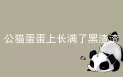 公猫蛋蛋上长满了黑渣渣