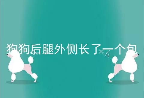 狗狗后腿外侧长了一个包