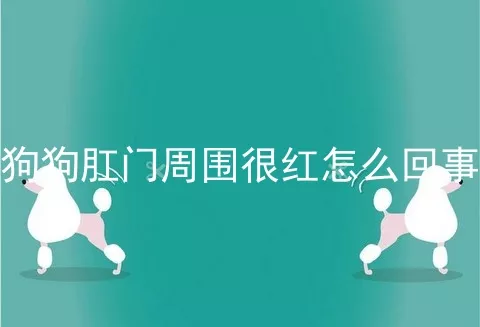 狗狗肛门周围很红怎么回事