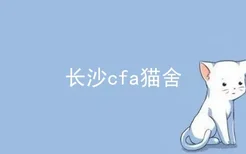 长沙cfa猫舍