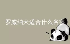 罗威纳犬适合什么名字