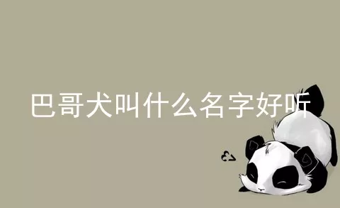 巴哥犬叫什么名字好听