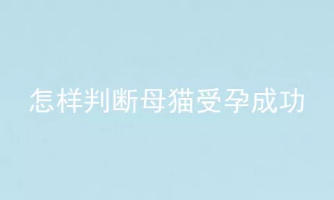 怎样判断母猫受孕成功