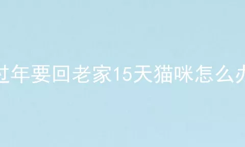 过年要回老家15天猫咪怎么办