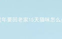 过年要回老家15天猫咪怎么办