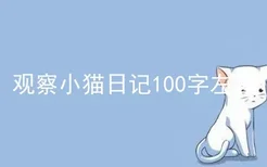 观察小猫日记100字左右