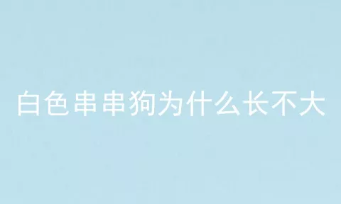 白色串串狗为什么长不大