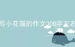 写小花猫的作文300字左右