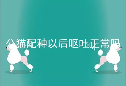 公猫配种以后呕吐正常吗