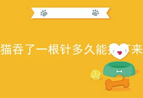 猫吞了一根针多久能拉下来