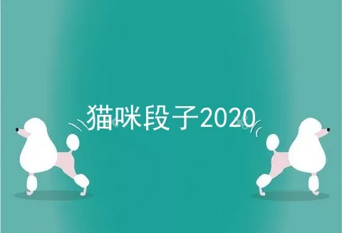 猫咪段子2020