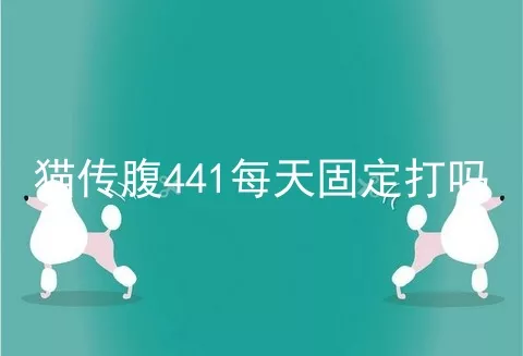 猫传腹441每天固定打吗