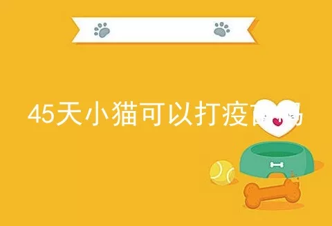 45天小猫可以打疫苗吗