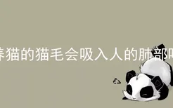 养猫的猫毛会吸入人的肺部吗