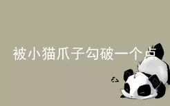 被小猫爪子勾破一个点