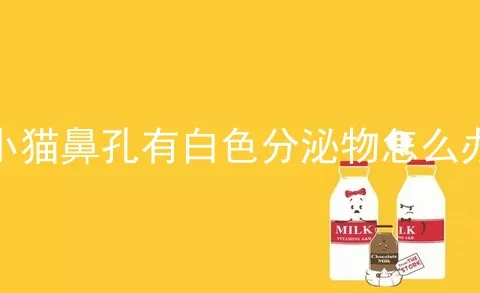 小猫鼻孔有白色分泌物怎么办