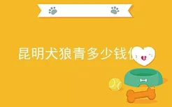 昆明犬狼青多少钱价位