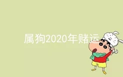 属狗2020年赌运