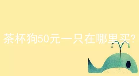 茶杯狗50元一只在哪里买?