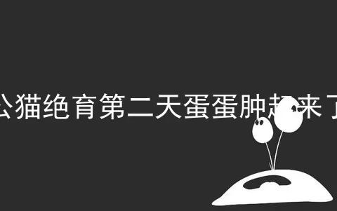 公猫绝育第二天蛋蛋肿起来了