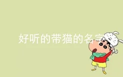 好听的带猫的名字