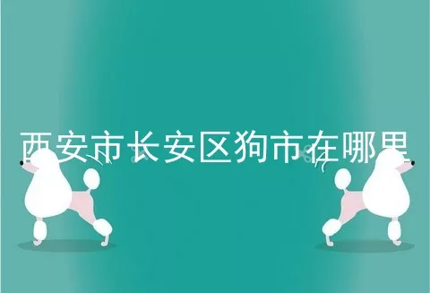 西安市长安区狗市在哪里