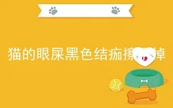 猫的眼屎黑色结痂擦不掉