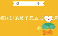 猫尿过的被子怎么去除味道