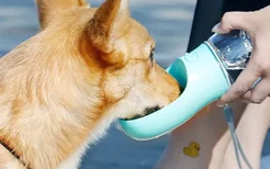 狗狗夏季外出带水瓶 狗狗外出必备便携式饮水瓶