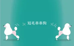 短毛串串狗