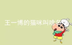 王一博的猫咪叫啥名字