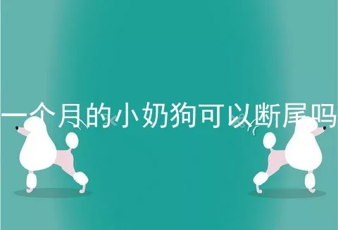 一个月的小奶狗可以断尾吗