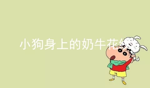 小狗身上的奶牛花纹