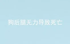 狗后腿无力导致死亡