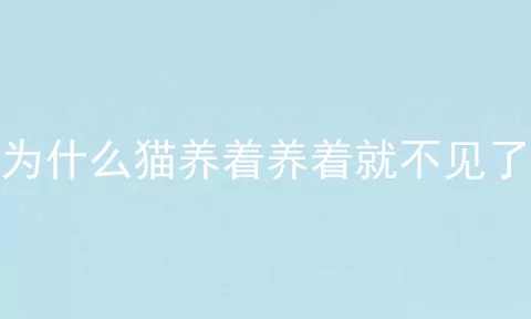 为什么猫养着养着就不见了