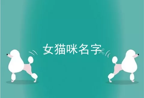 女猫咪名字