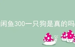 闲鱼300一只狗是真的吗